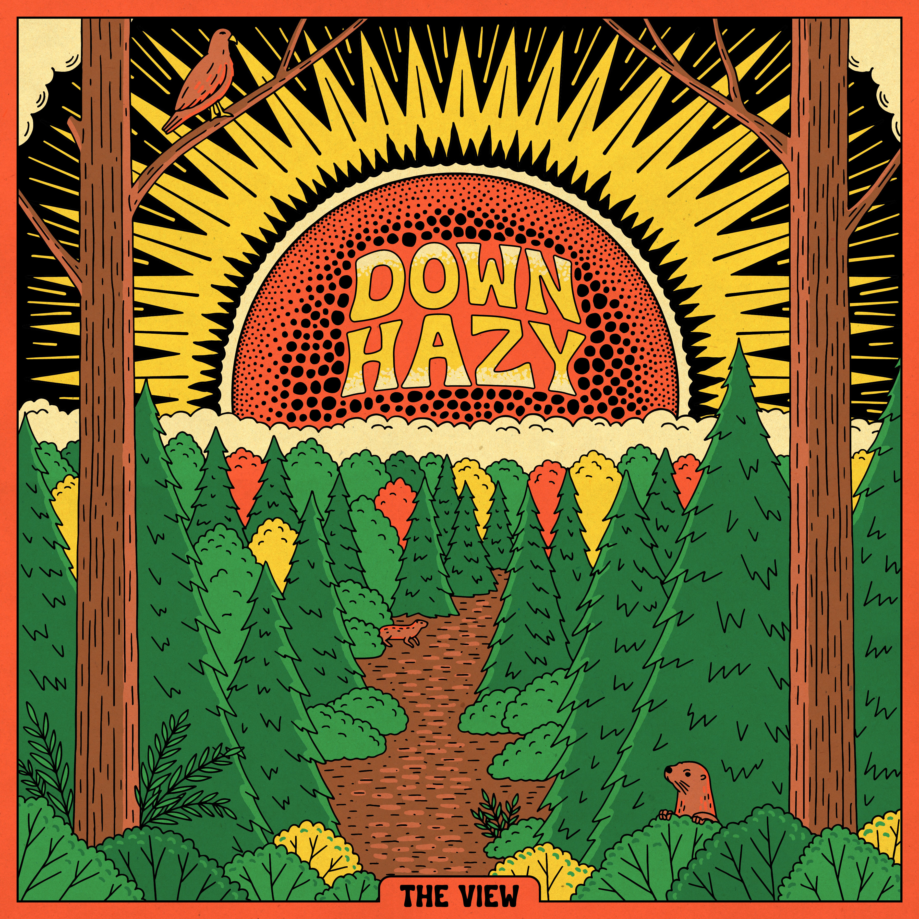 Down Hazy — The View